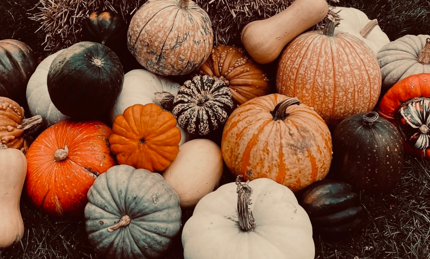 Pumpkin Packages