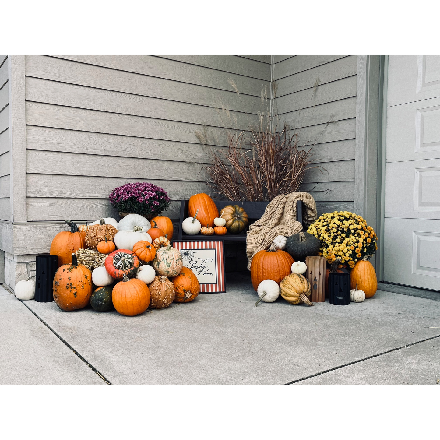 Pumpkin Package #4