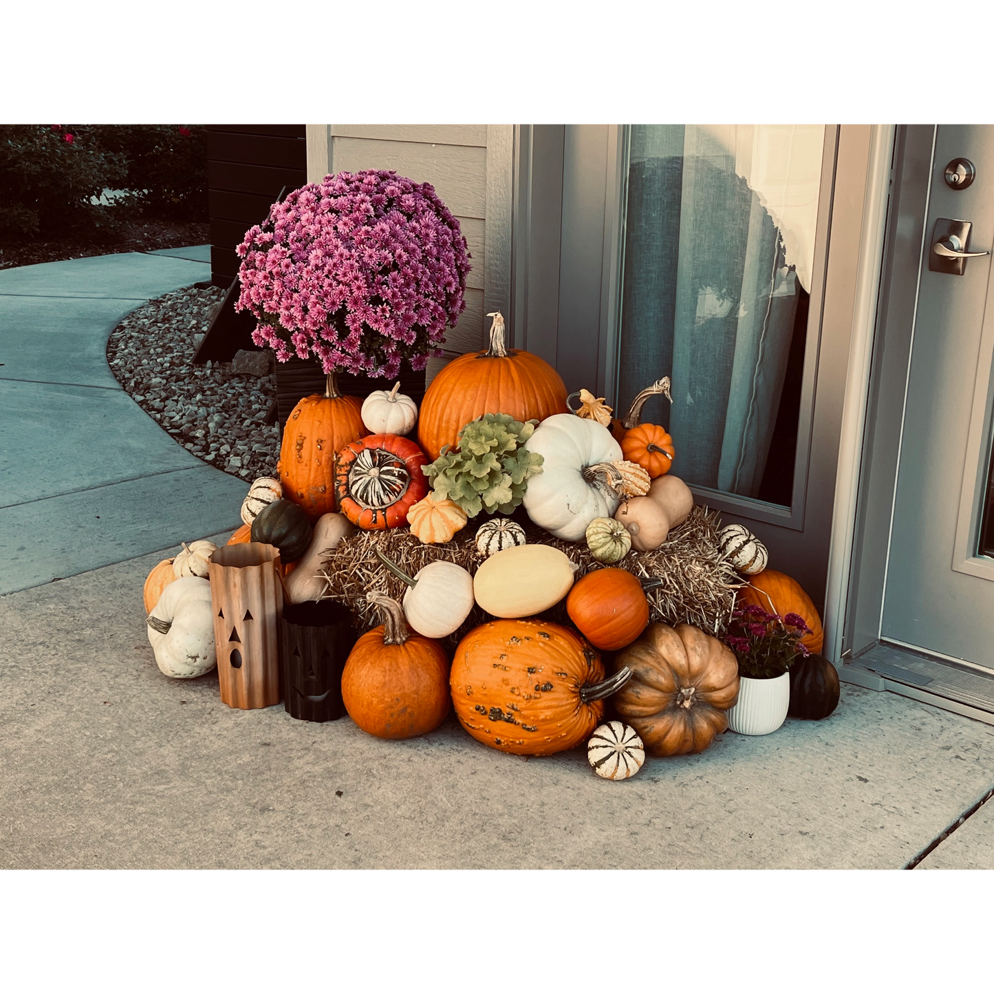 Pumpkin Package #4