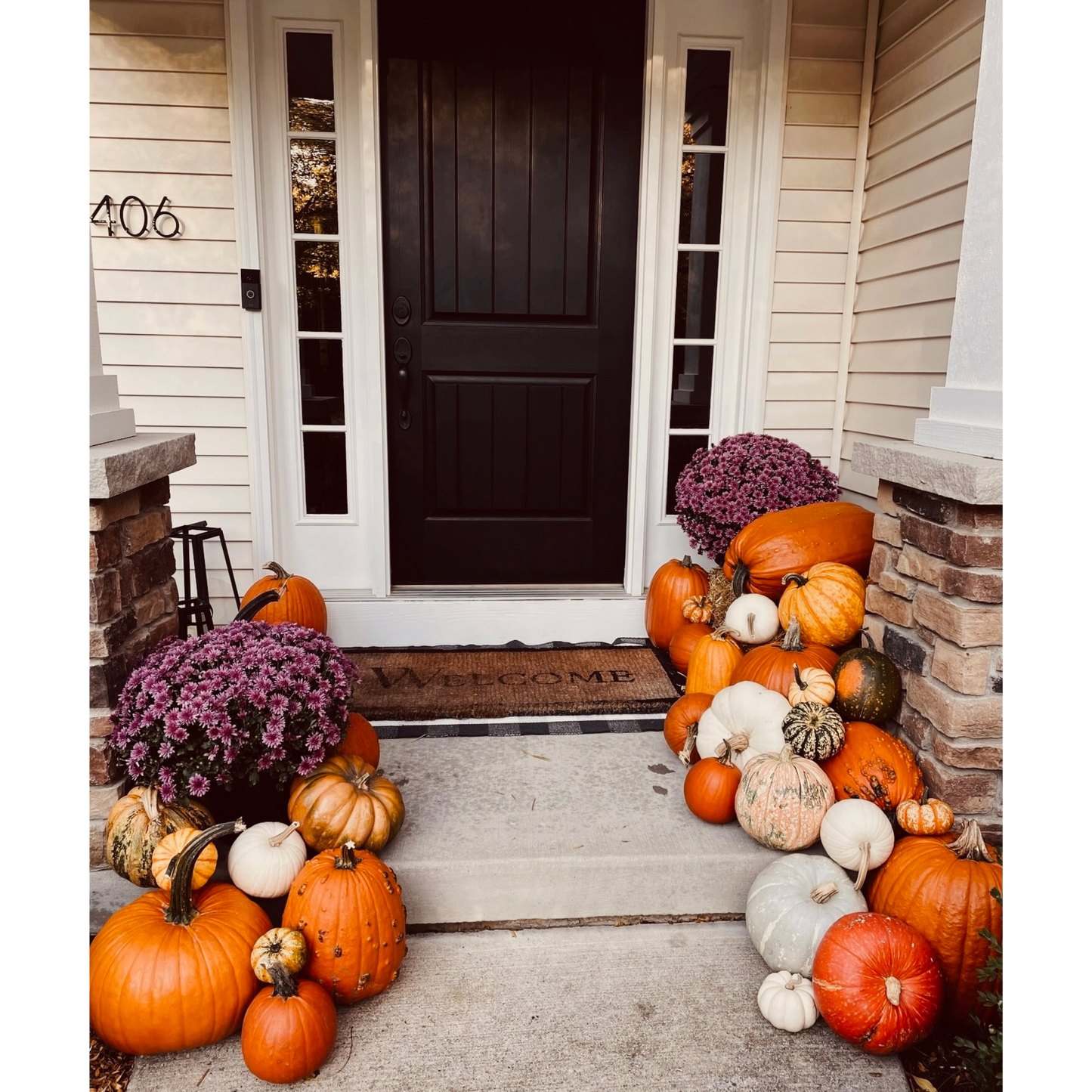 Pumpkin Package #4