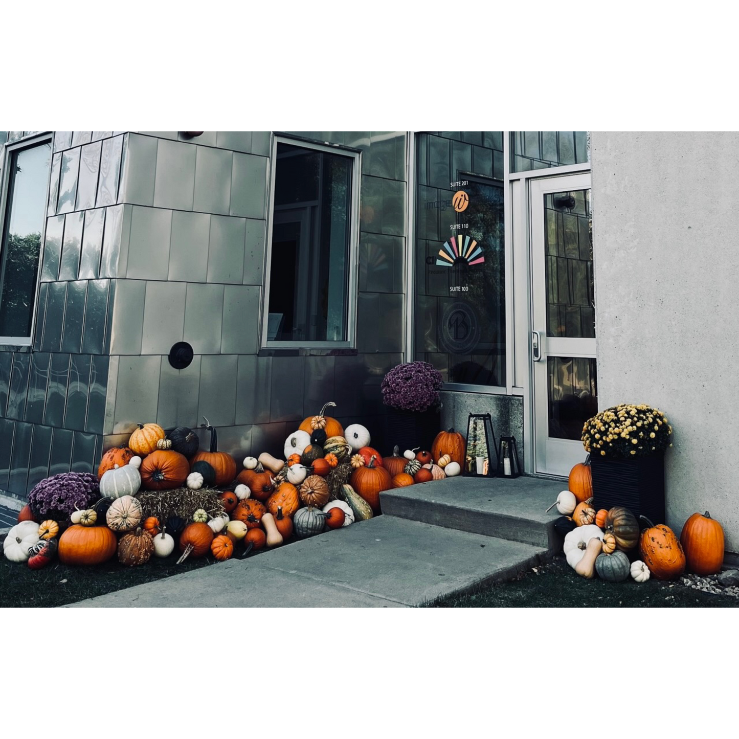 Pumpkin Package #1