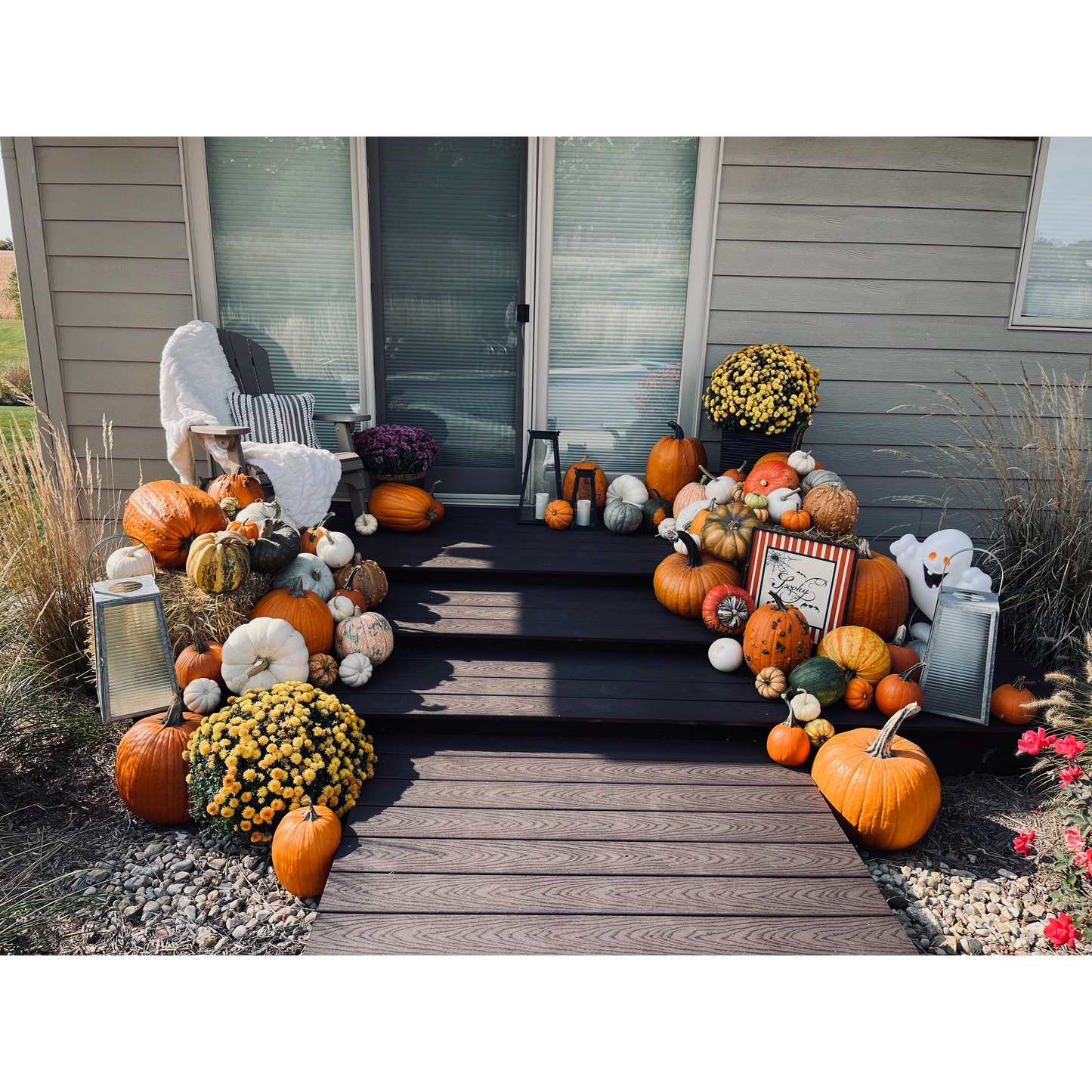 Pumpkin Package #2