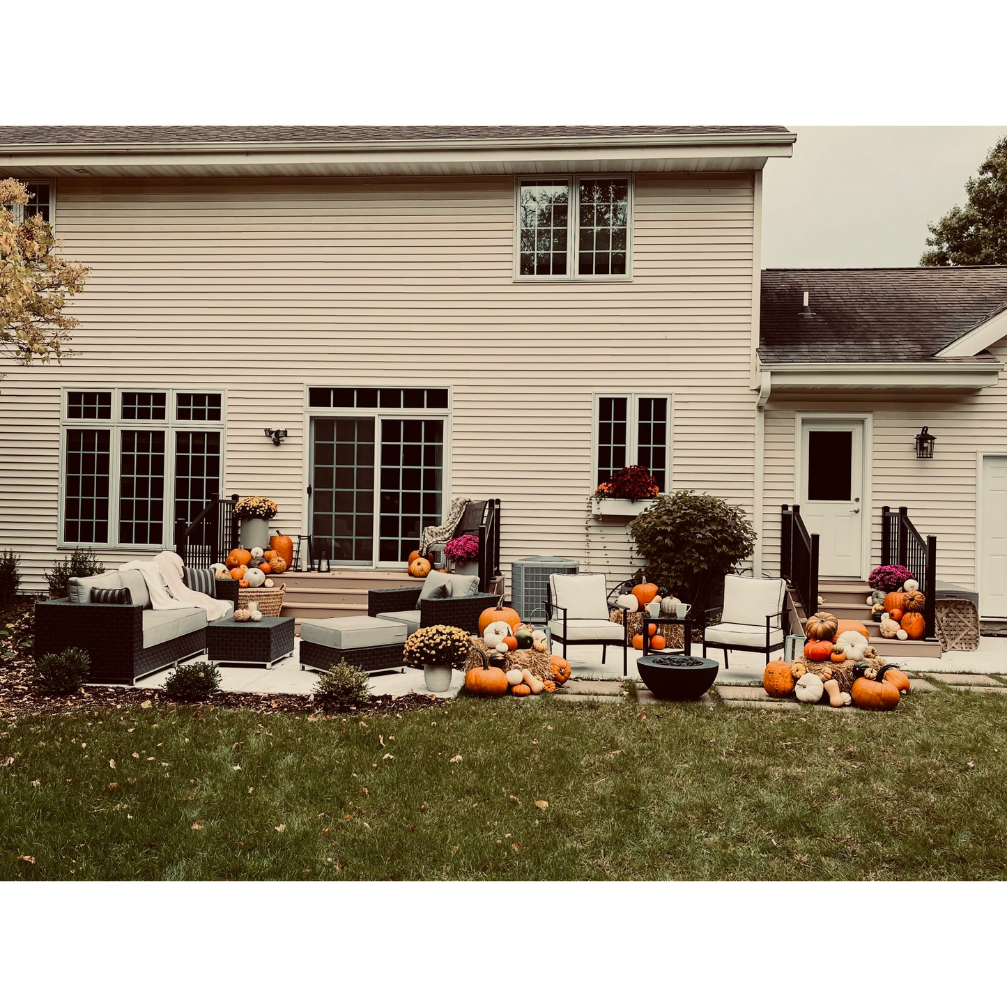 Pumpkin Package #2