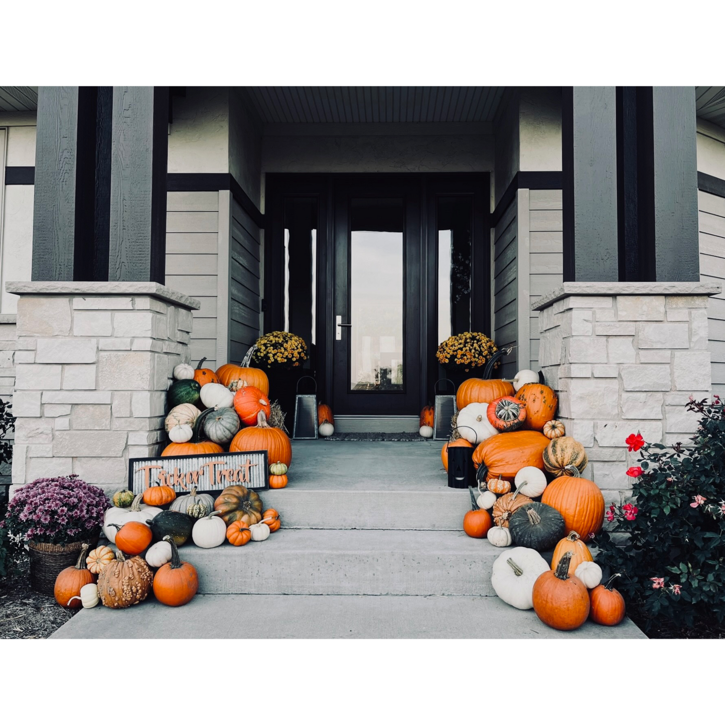 Pumpkin Package #2