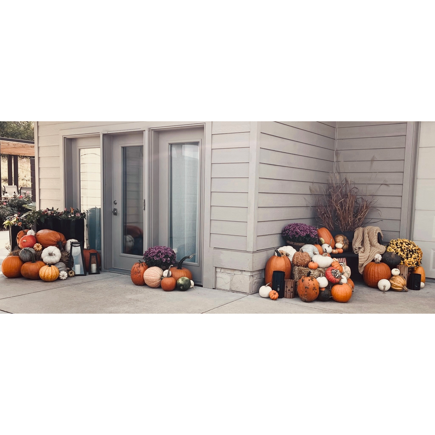 Pumpkin Package #3