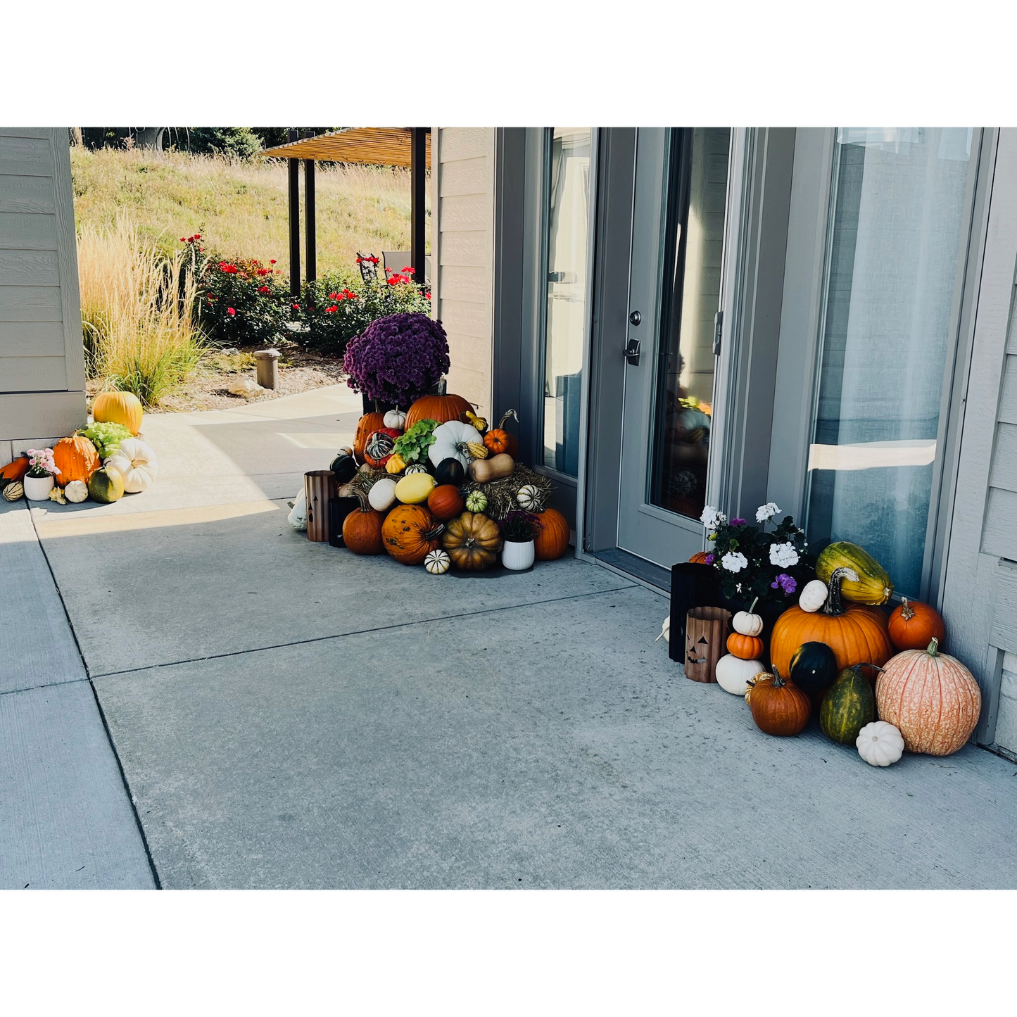 Pumpkin Package #3