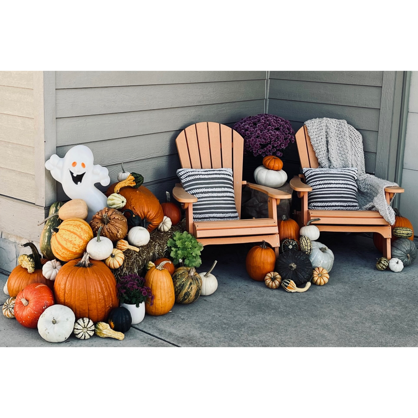 Pumpkin Package #3