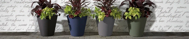 Planters